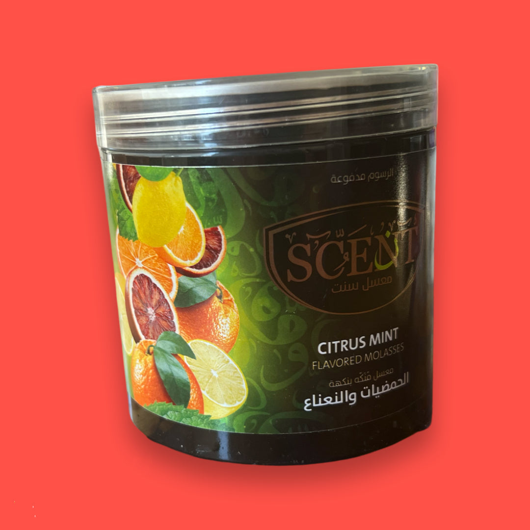 Scent Molasses Citrus and Mint - معسل سنت حمضيات ونعناع اشقر