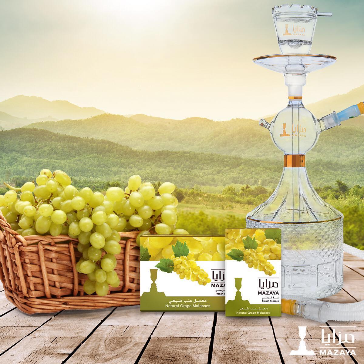 Mazaya Molasses Grape - معسّل مزايا عنب - Shishabox