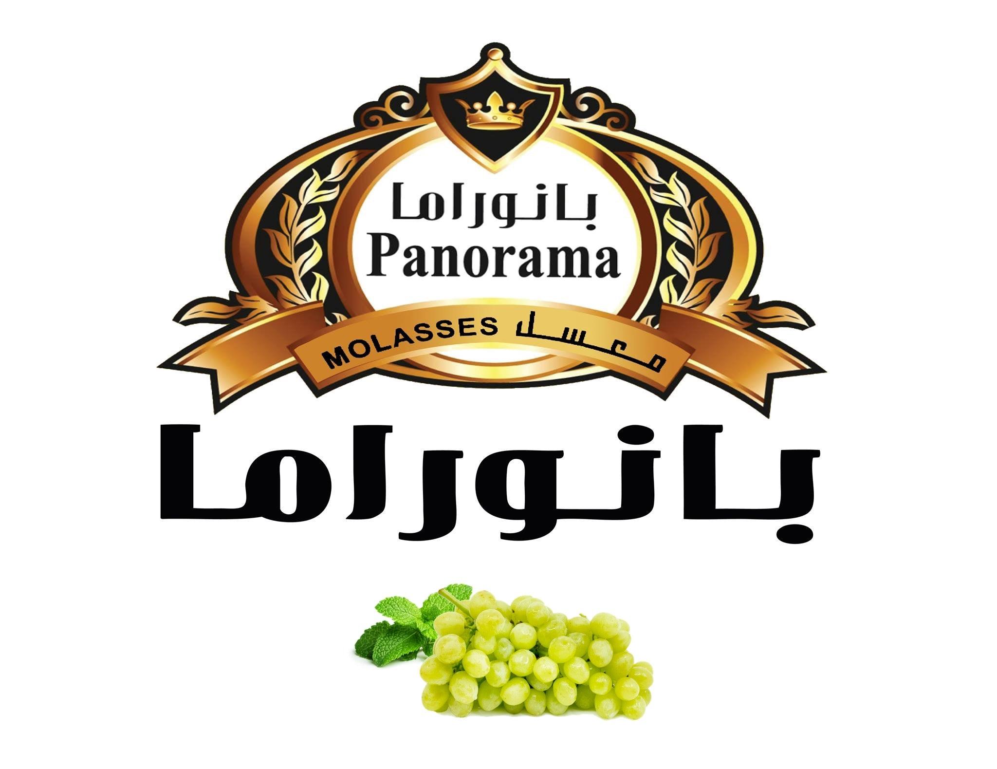 Panorama Molasses Grape Mint - معسل بانوراما عنب و نعنع - Shishabox