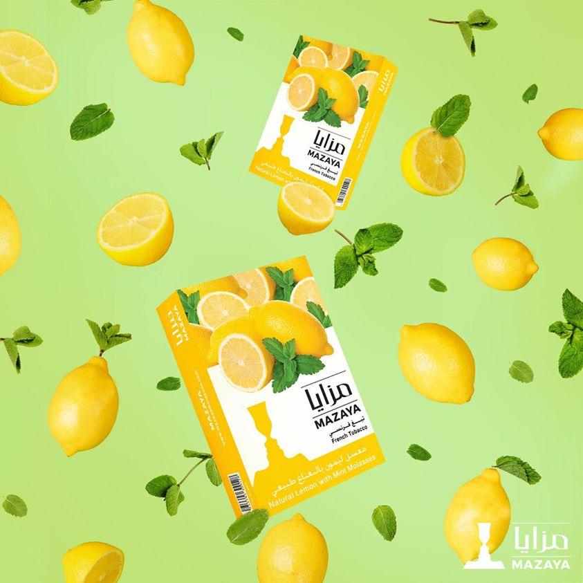 Mazaya Molasses Lemon Mint - معسّل مزايا ليمون ونعنع - Shishabox