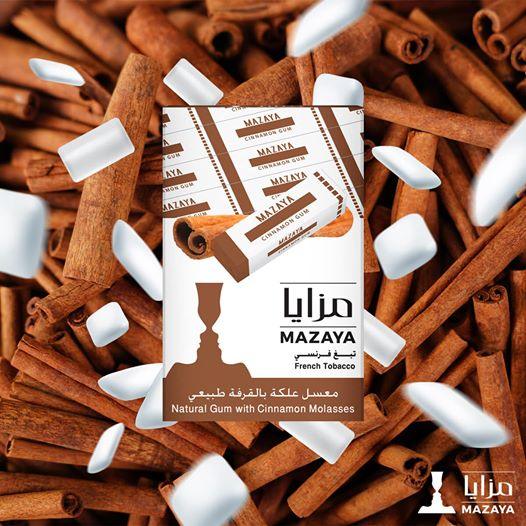 Mazaya Molasses Cinnamon Gum - معسّل مزايا علكة و قرفة - Shishabox