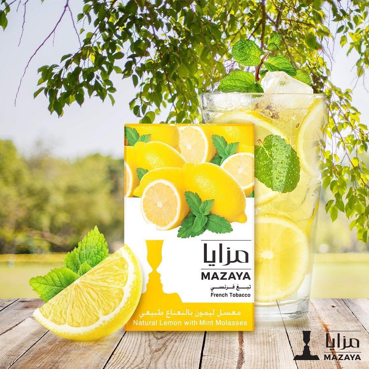 Mazaya Molasses Lemon Mint - معسّل مزايا ليمون ونعنع - Shishabox
