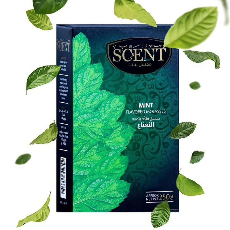 Scent Molasses Mint - معسل سنت نعناع