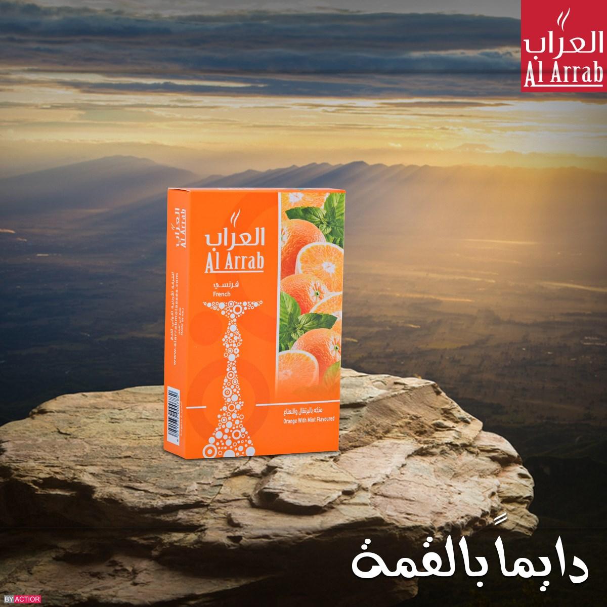 Al Arrab Molasses Orange Mint  - معسّل العراب برتقال و نعنع - Shishabox